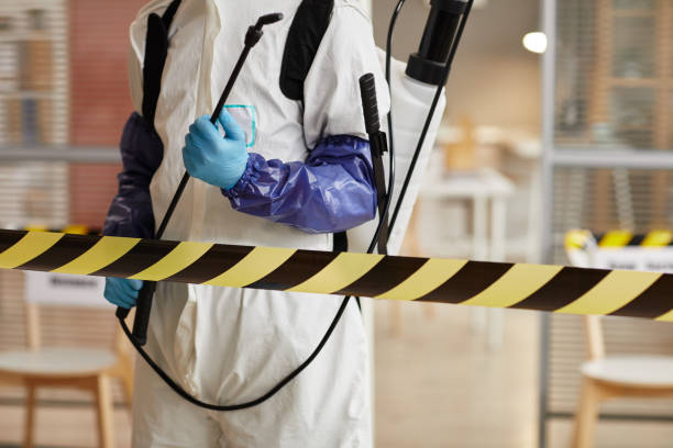 Professional Hoarding Cleanup technician working in Eustis, FL